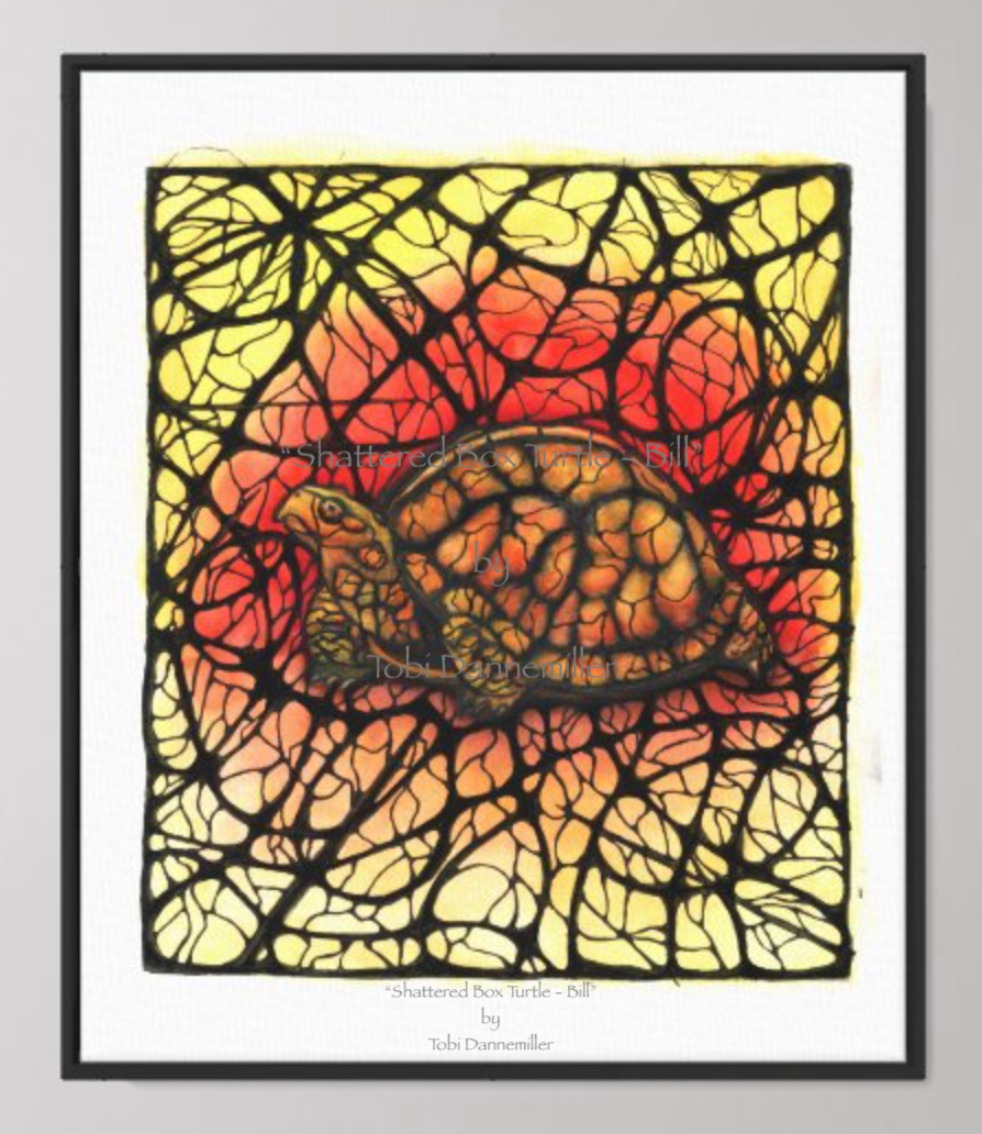 “Shattered Box Turtle –&nbsp;Bill”