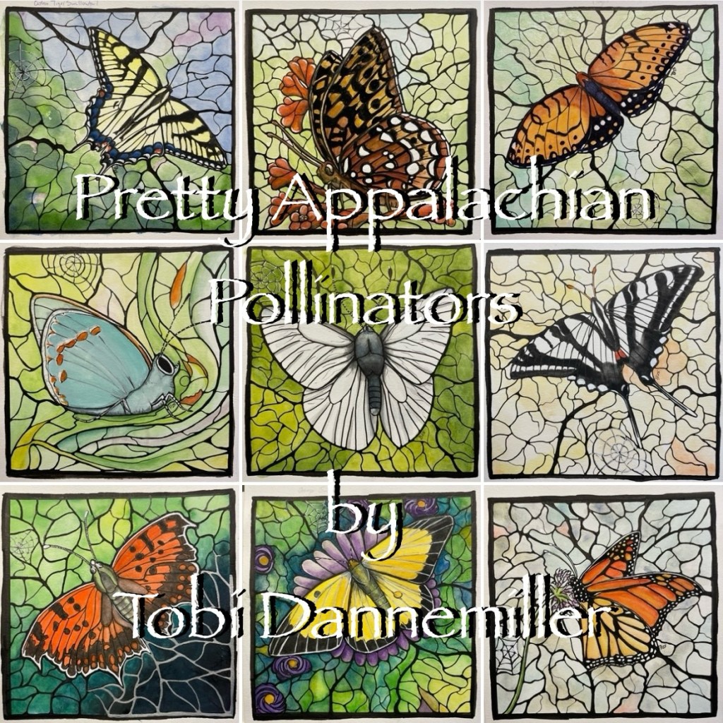 “Pretty Appalachian Pollinators”